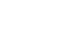 DS Partners LLC